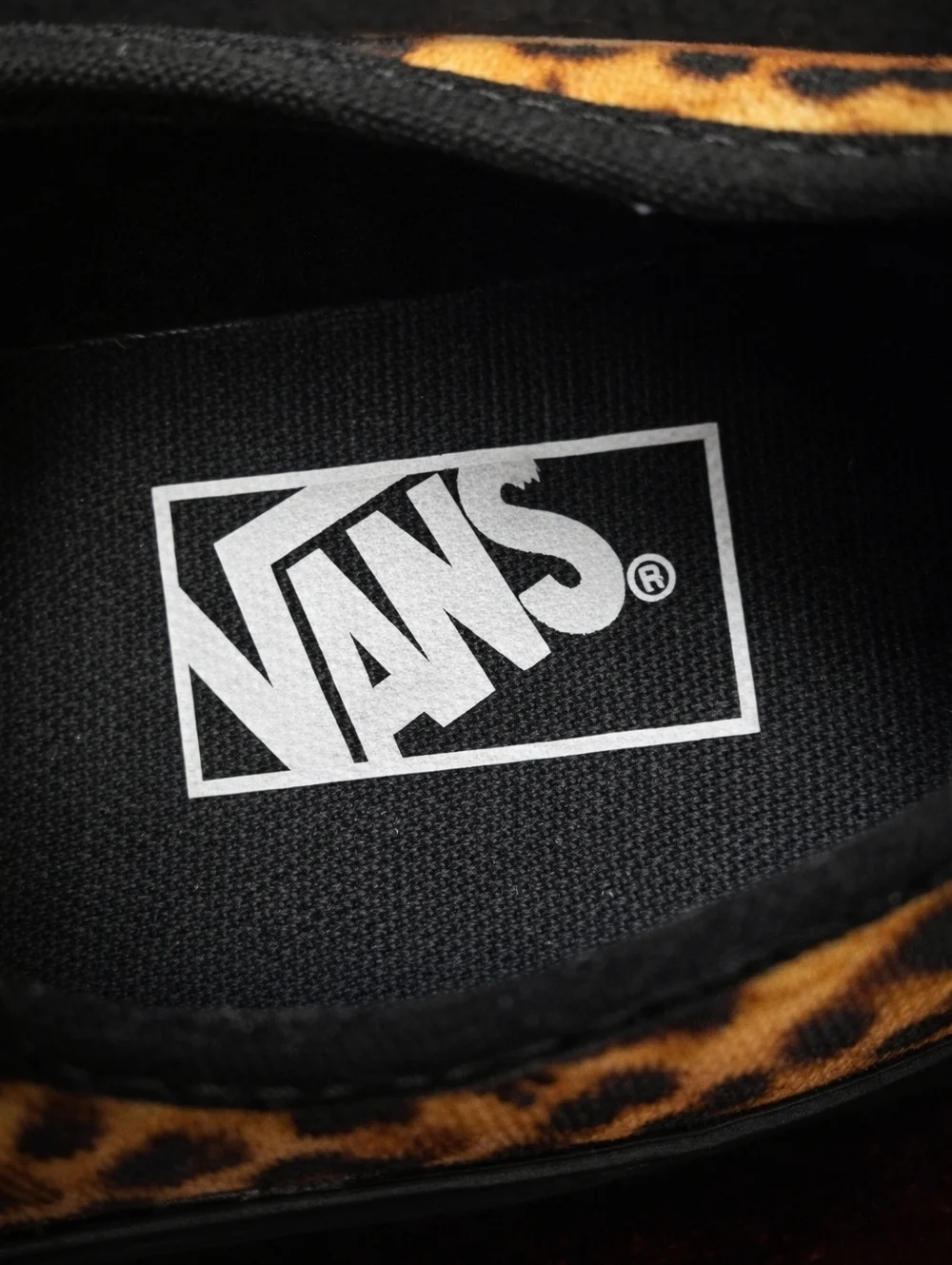 Vans authentic lowpro